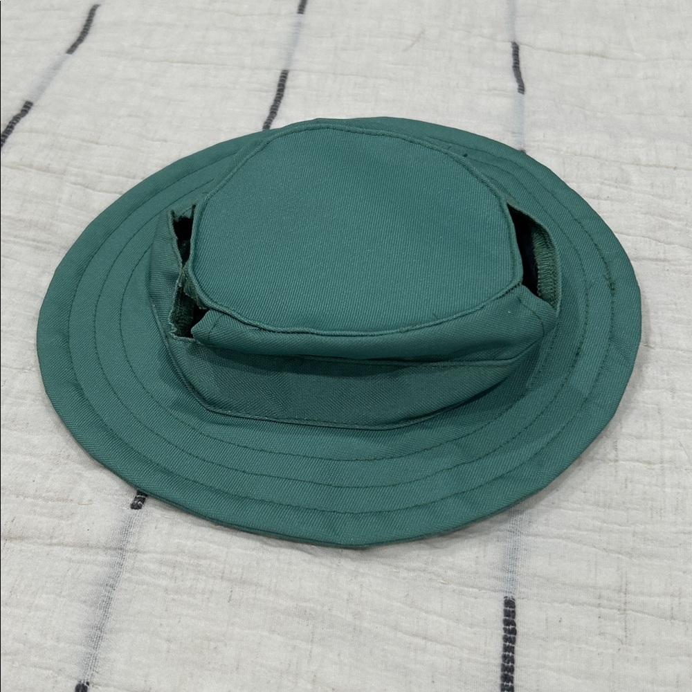 Heart To Tail Pet Hat